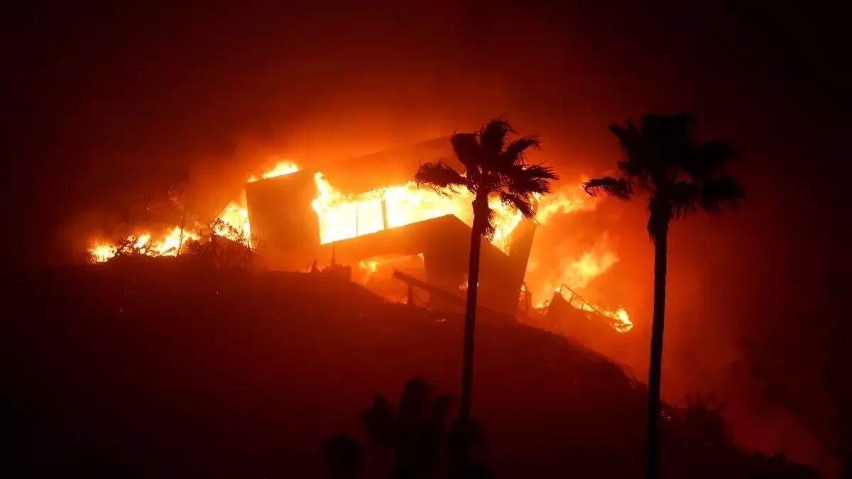 Лесной пожар охватил престижный район Лос-Анджелеса. Источник: Los Angeles Times