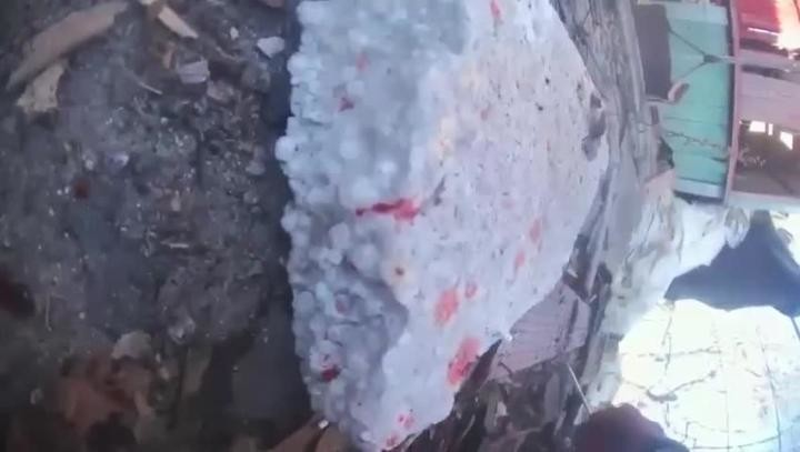 Яндекс-картинка.