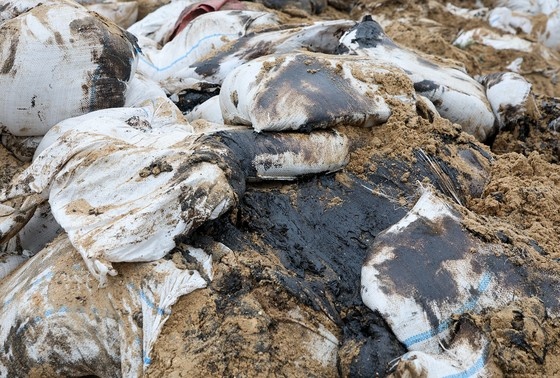    Последствия утечки мазута