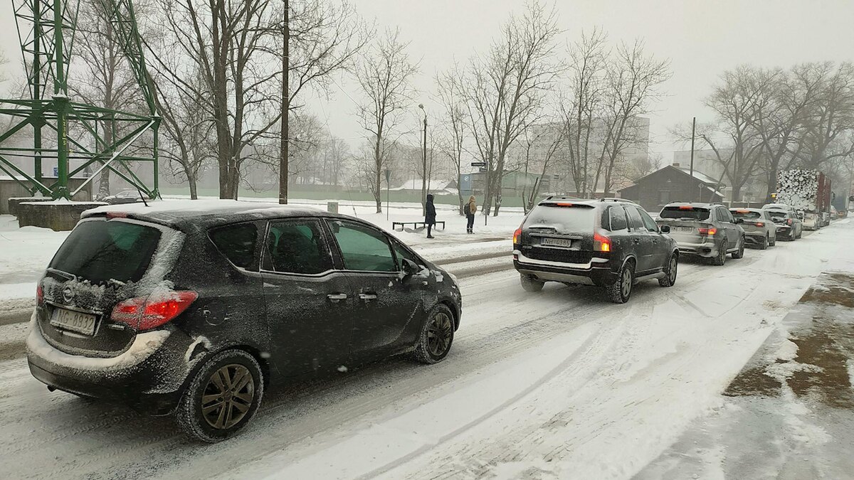    Фото: Victor Lisitsyn/globallookpress.com