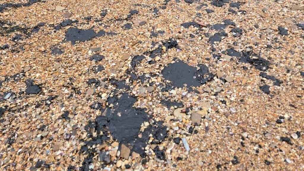    Архив, фото: тг-канал министра экологии и природных ресурсов РК Ольги Шевцовой