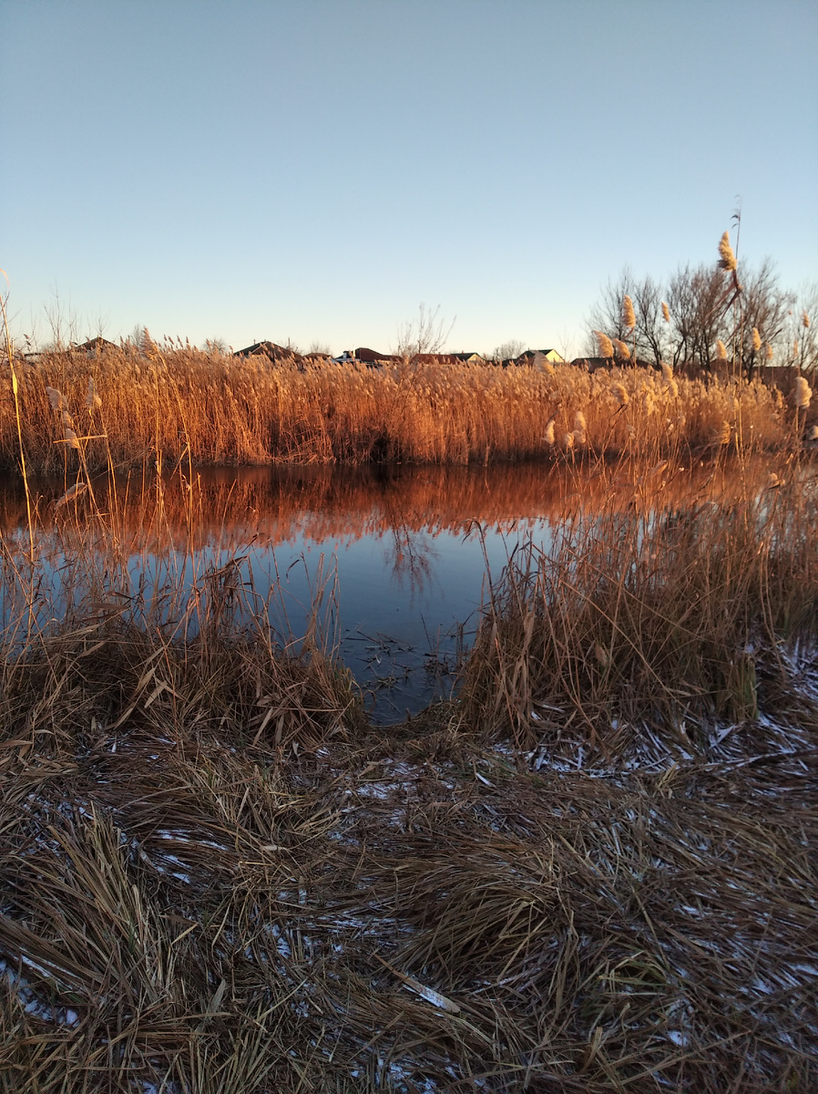 Кто-то ещё и рыбачит.