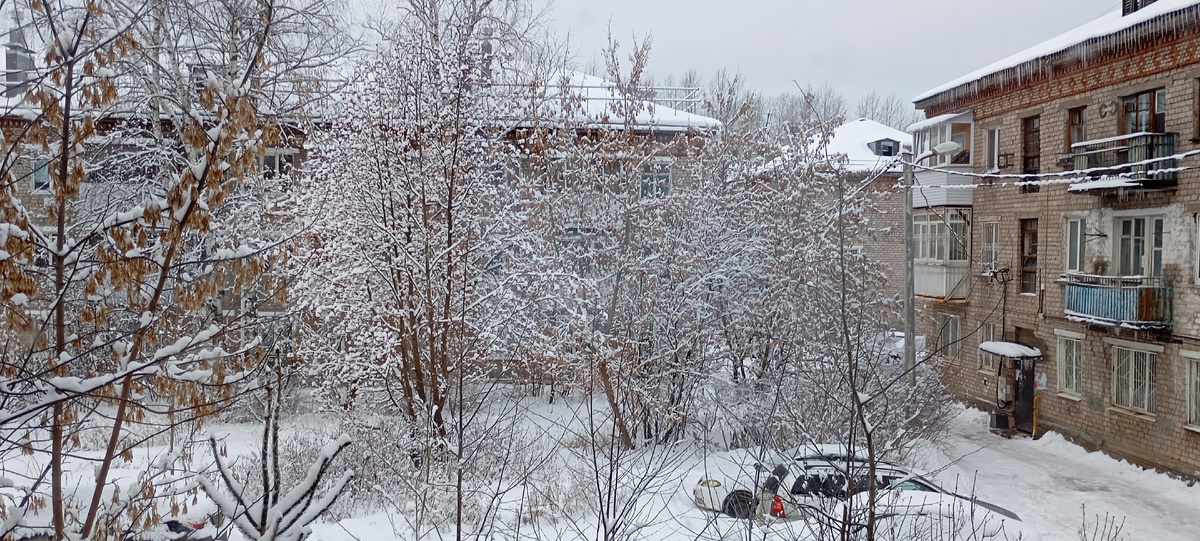 Снежная зима.