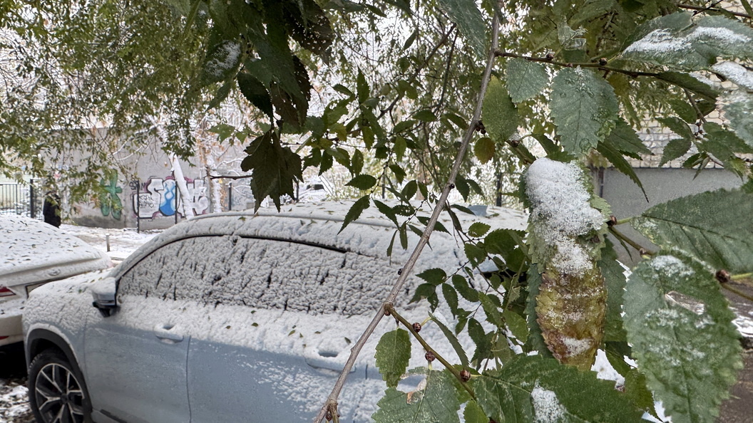    Фото: Alexander Legky/Globallookpress.