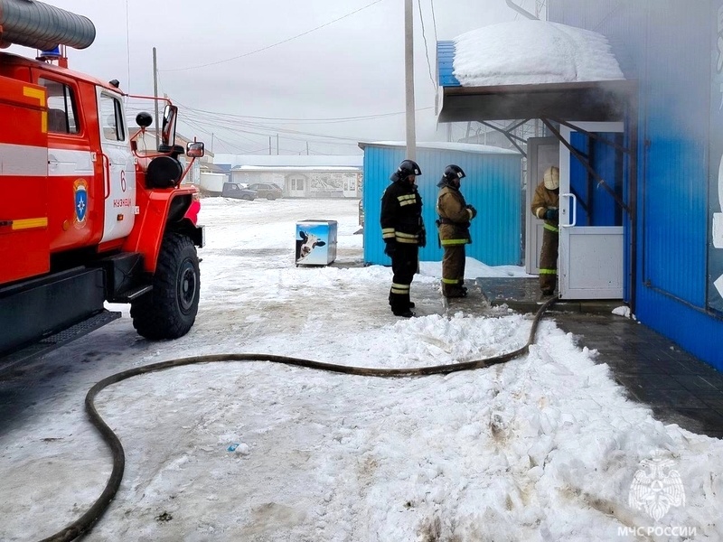    Фото: пресс-служба ГУ МЧС России по Пензенской области