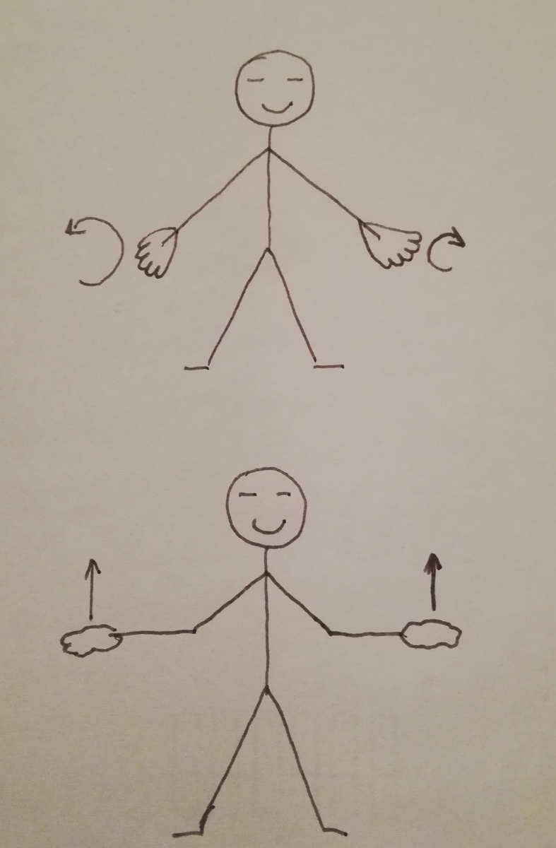 Стрелками указаны направления для движения и положения ладонной поверхности кисти. 