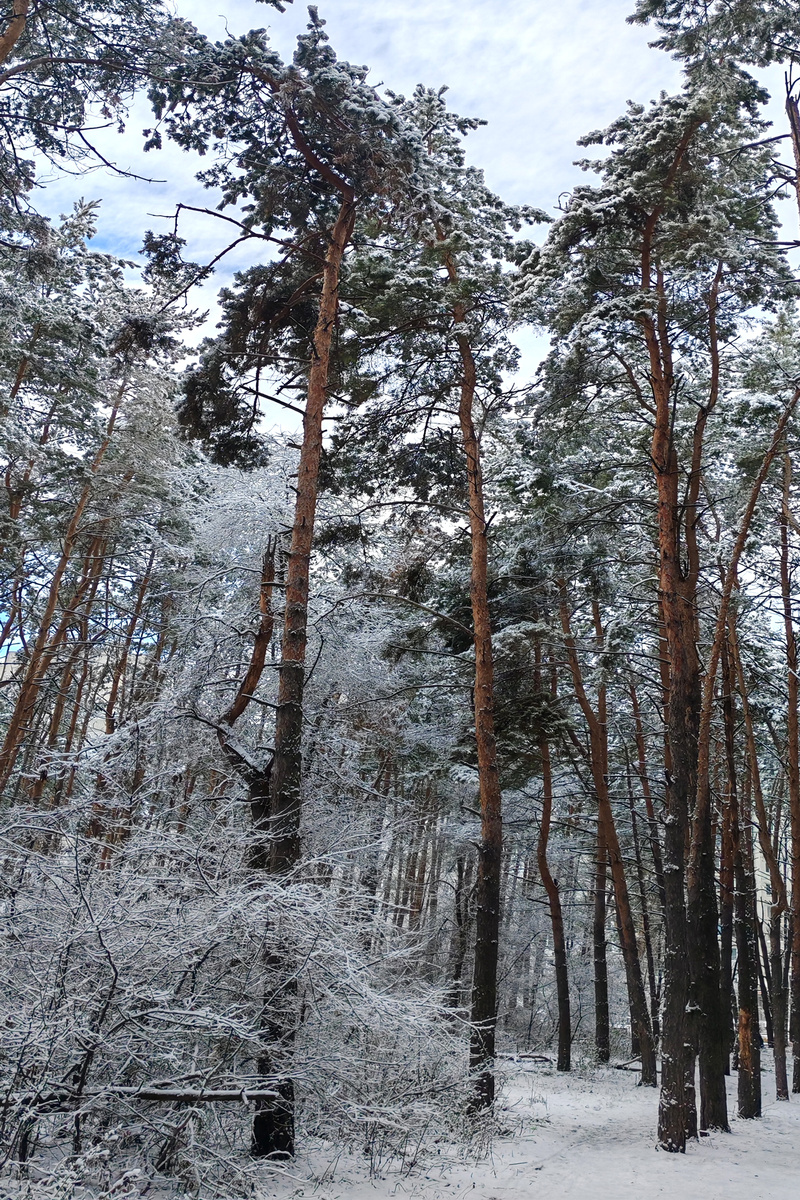 4 января 2025 г.