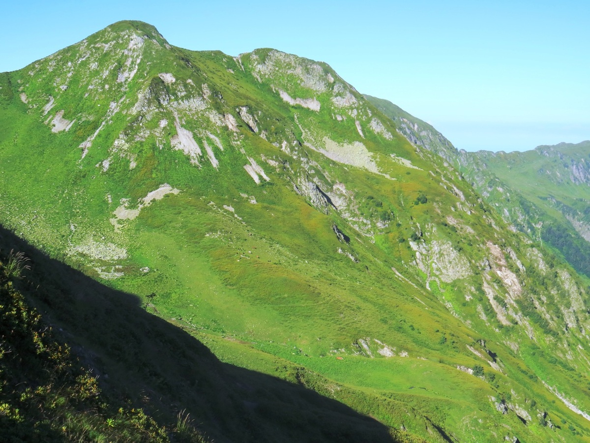 Взгляд назад - это массив Алинча