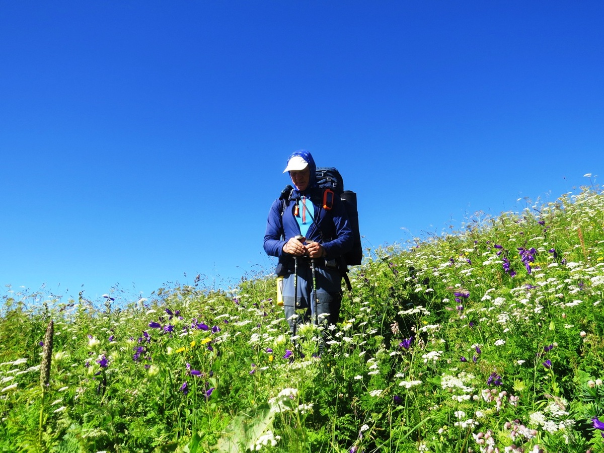 Классический альпийский луг