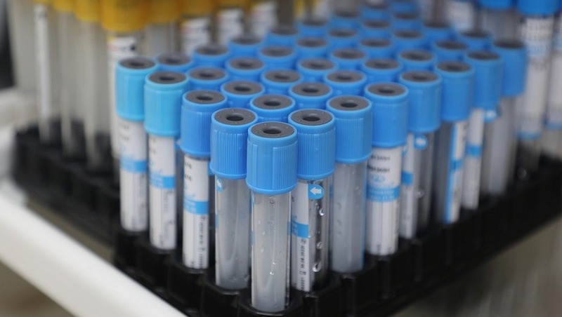      Фото: Дмитрий Ахмадуллин / / ИА «Победа26»