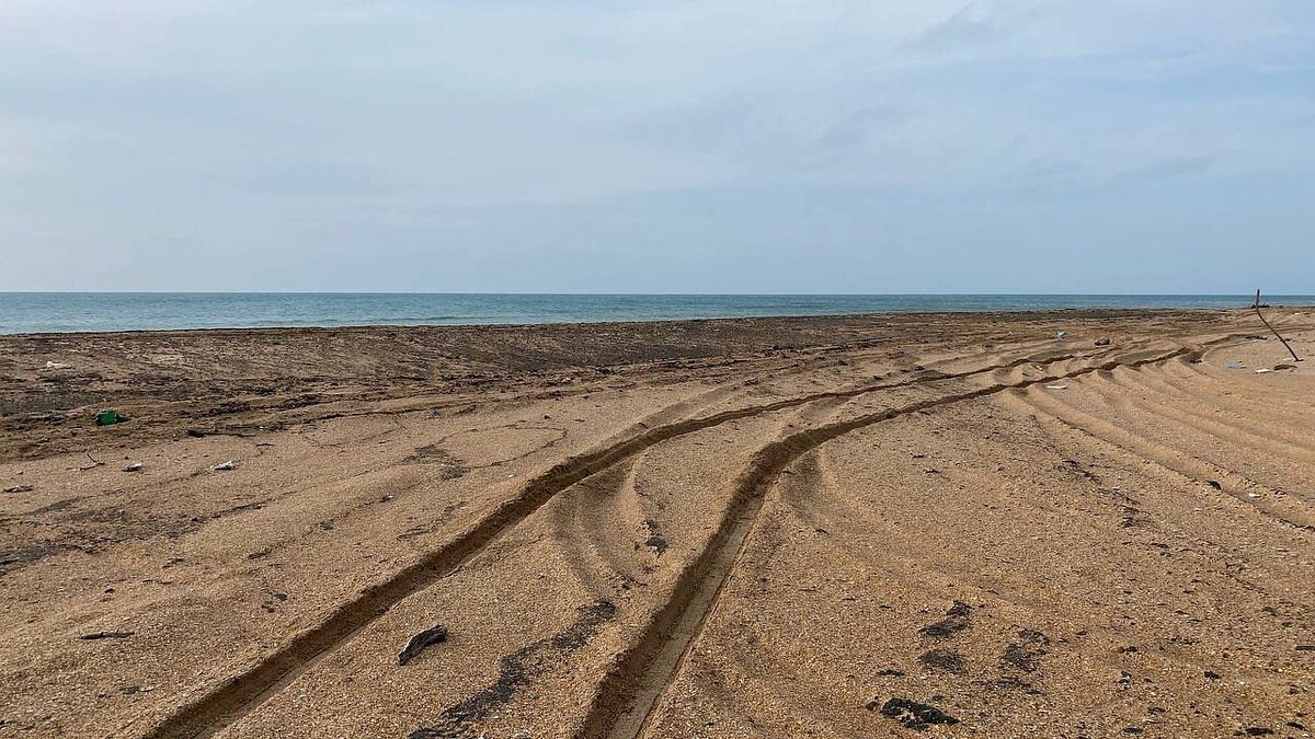    Фото: телеканал «Краснодар»