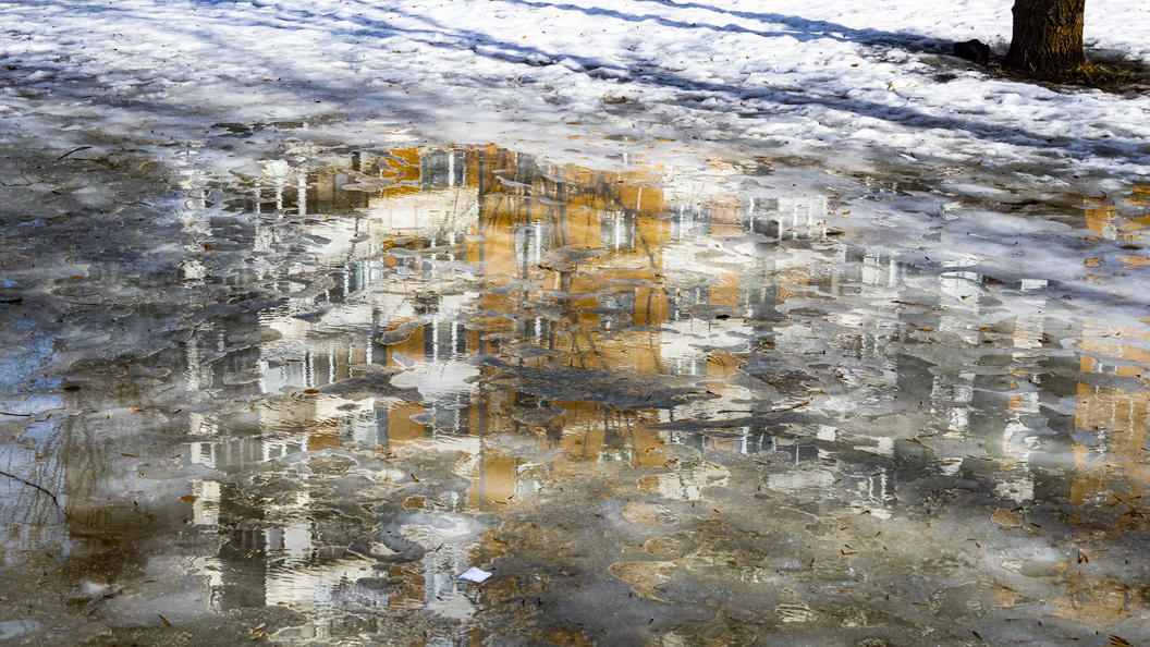    Konstantin Kokoshkin/Global Look Press/Globallookpress