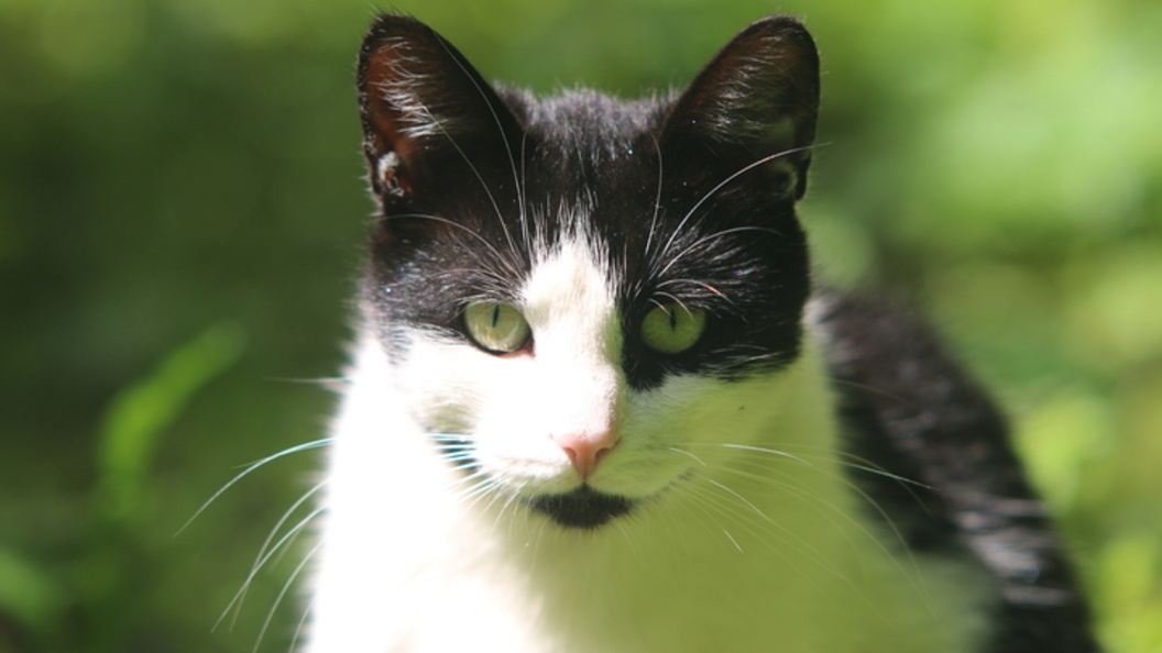    ФОТО: MAKSIM KONSTANTINOV/GLOBAL LOOK PRESS