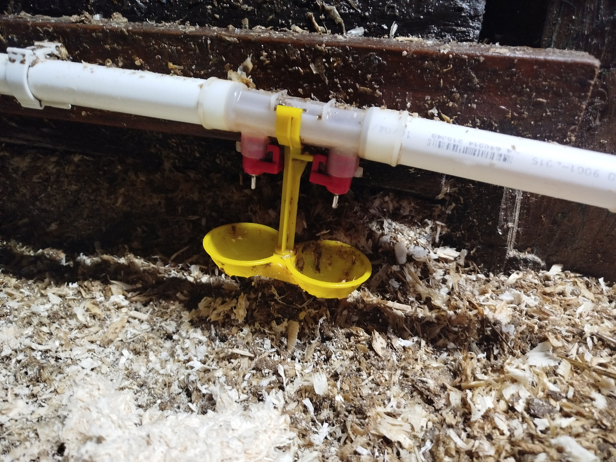 Нипельная поилка для курочек