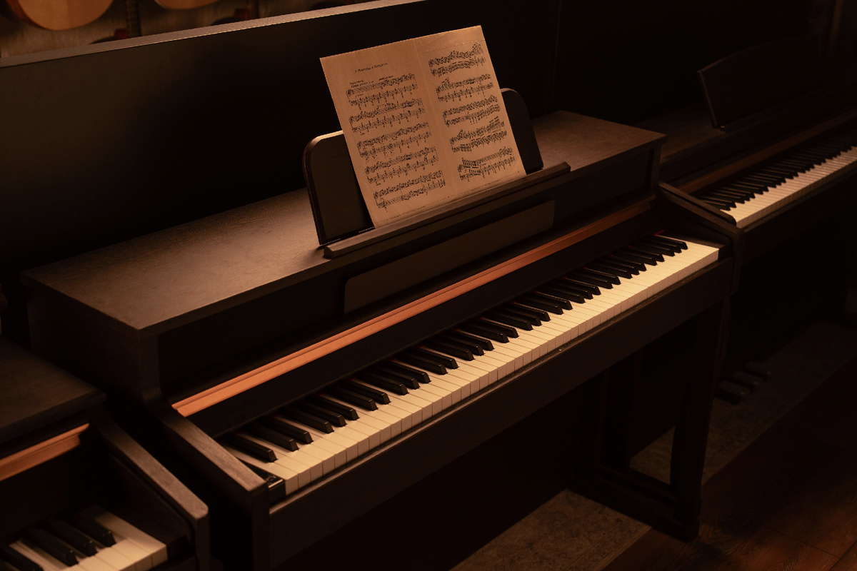 Цифровое фортепиано Antares W-500 BR