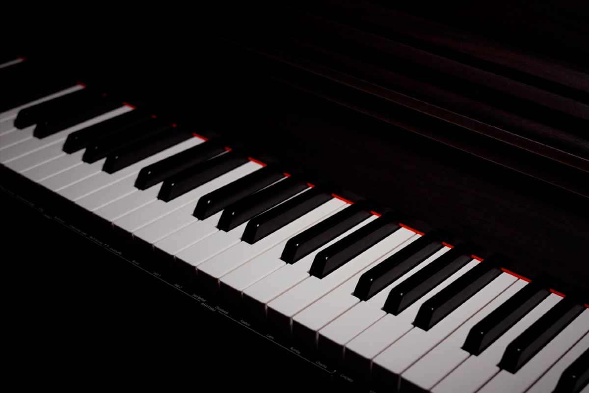 Клавиатура цифрового фортепиано Antares W-600 BR