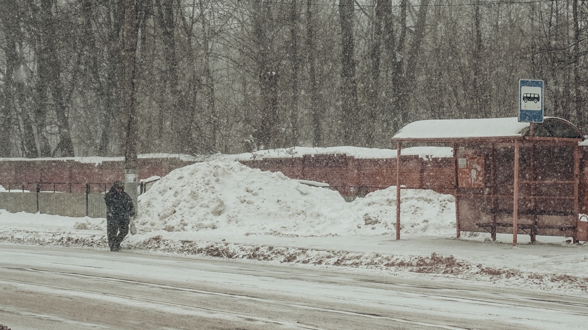 Светлана Мулыкина📷
