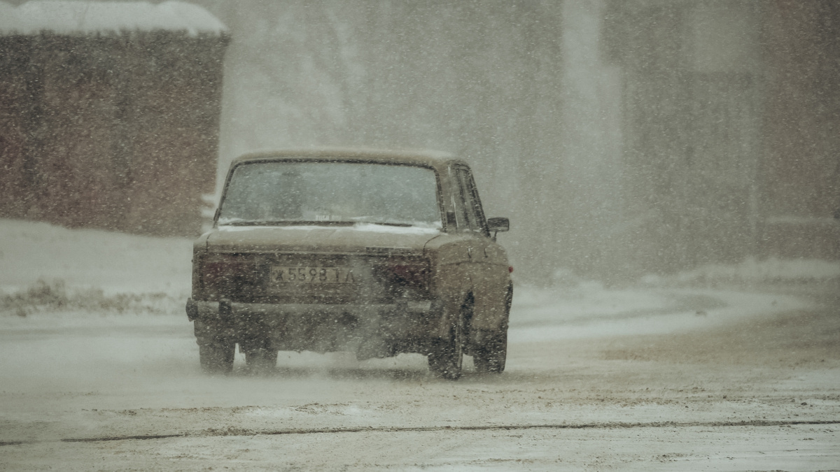 Светлана Мулыкина📷
