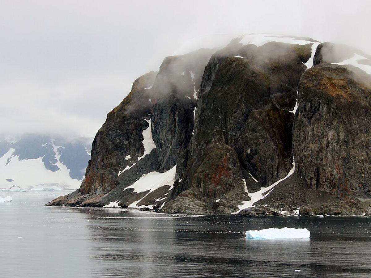    Антарктида становится зеленой и это плохо