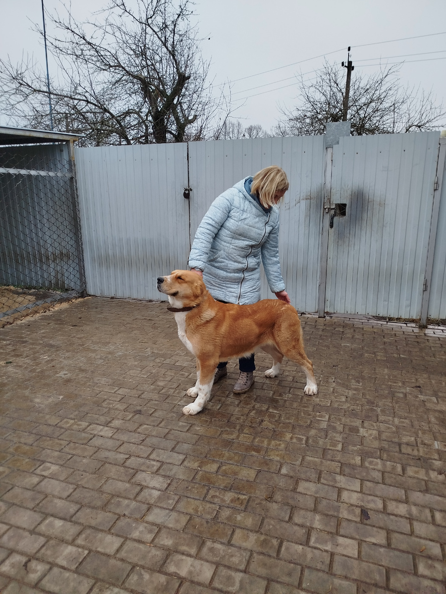 Пробовала в стойку поставить