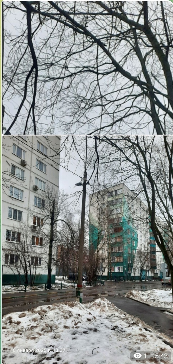 Фото 1. Сделано в 13.37 при сплошной облачности