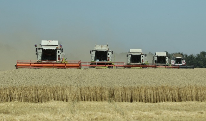    администрация Краснодара