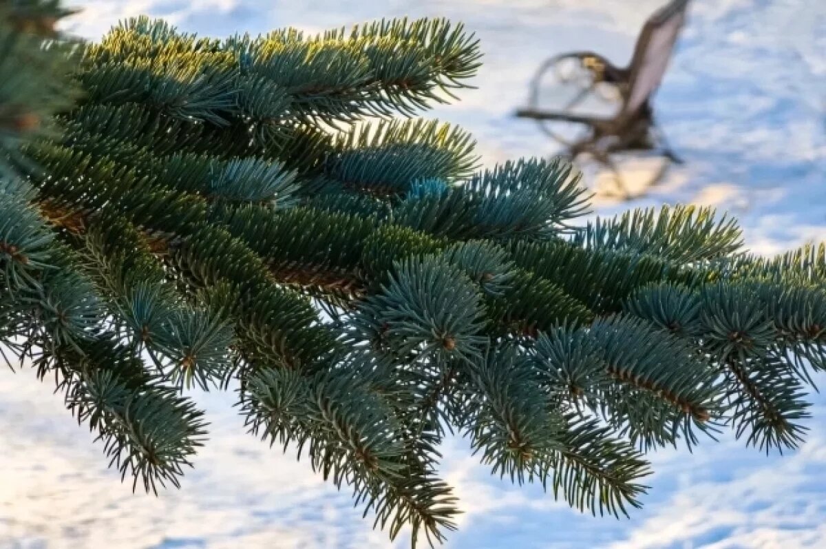    Мороз до 33 градусов будет ночью в Чите 9 декабря