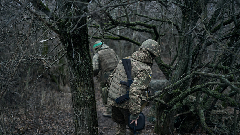   Gettyimages.ru Kostiantyn Liberov / Libkos