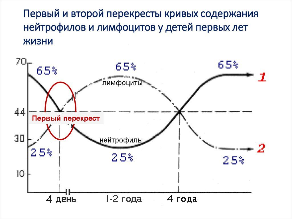 Выглядит это так. Взято из свободного доступа 
