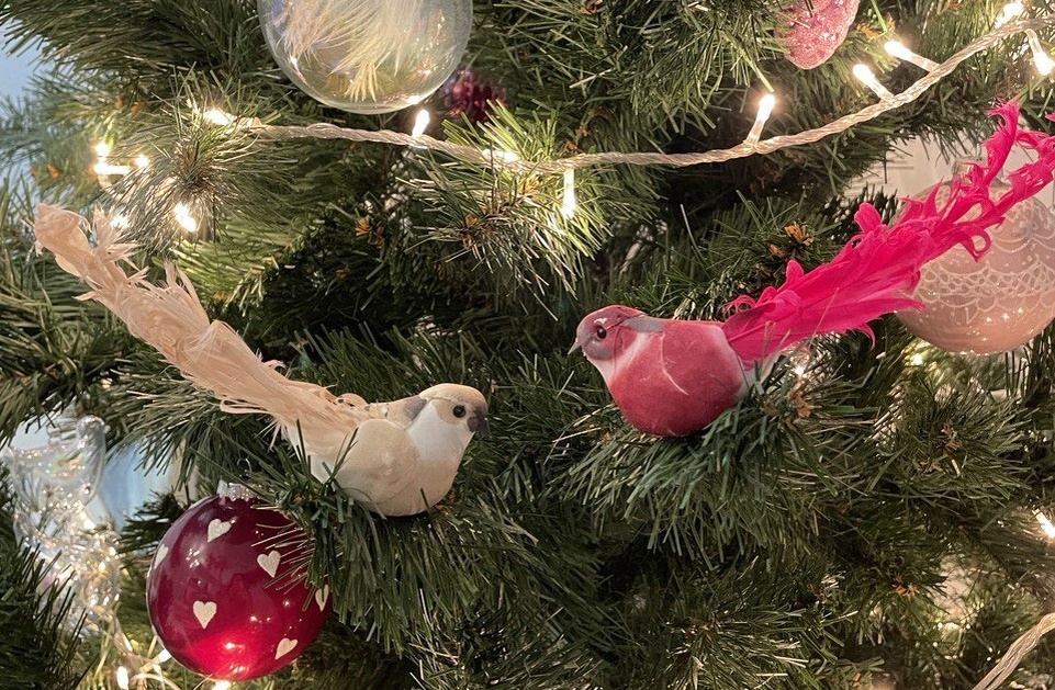 ...для тех, кому нг праздники принесли не только радость