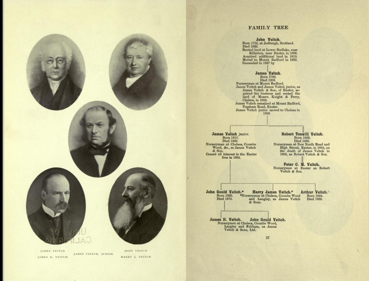Фамильное дерево Вейч. Hortus Veitchii.  Фото: archive.org