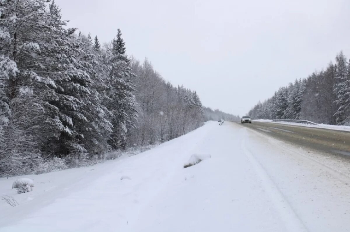    В первый рабочий день года в Чувашии будет опасная погода