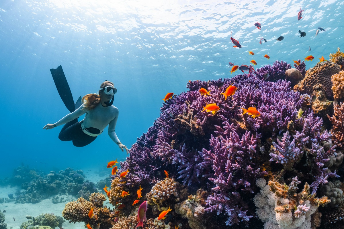 https://unsplash.com/photos/a-woman-scubas-over-a-colorful-coral-reef-jTxhUMyPTrE?utm_content=creditShareLink&utm_medium=referral&utm_source=unsplash