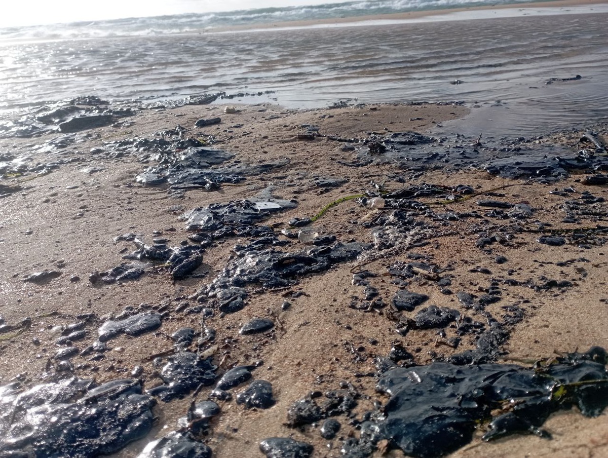 И это было золотыми песками Анапы🥶