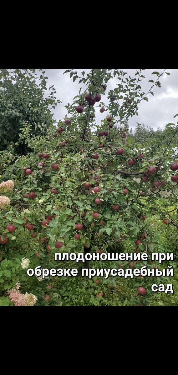 У Вас обязательно получится такой результат!!!