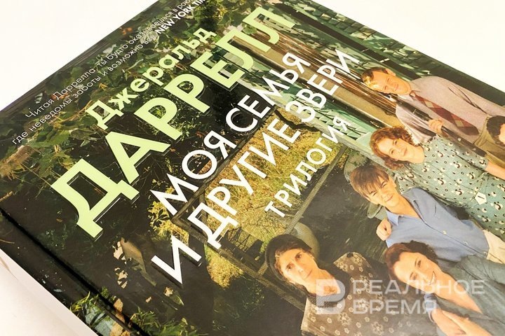 Екатерина Петрова / realnoevremya.ru