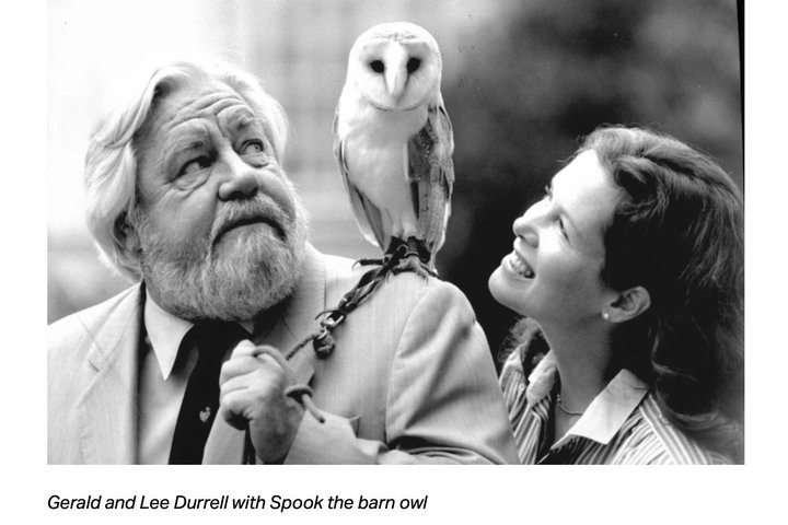 Фото: Скриншот с сайта RadioTimes