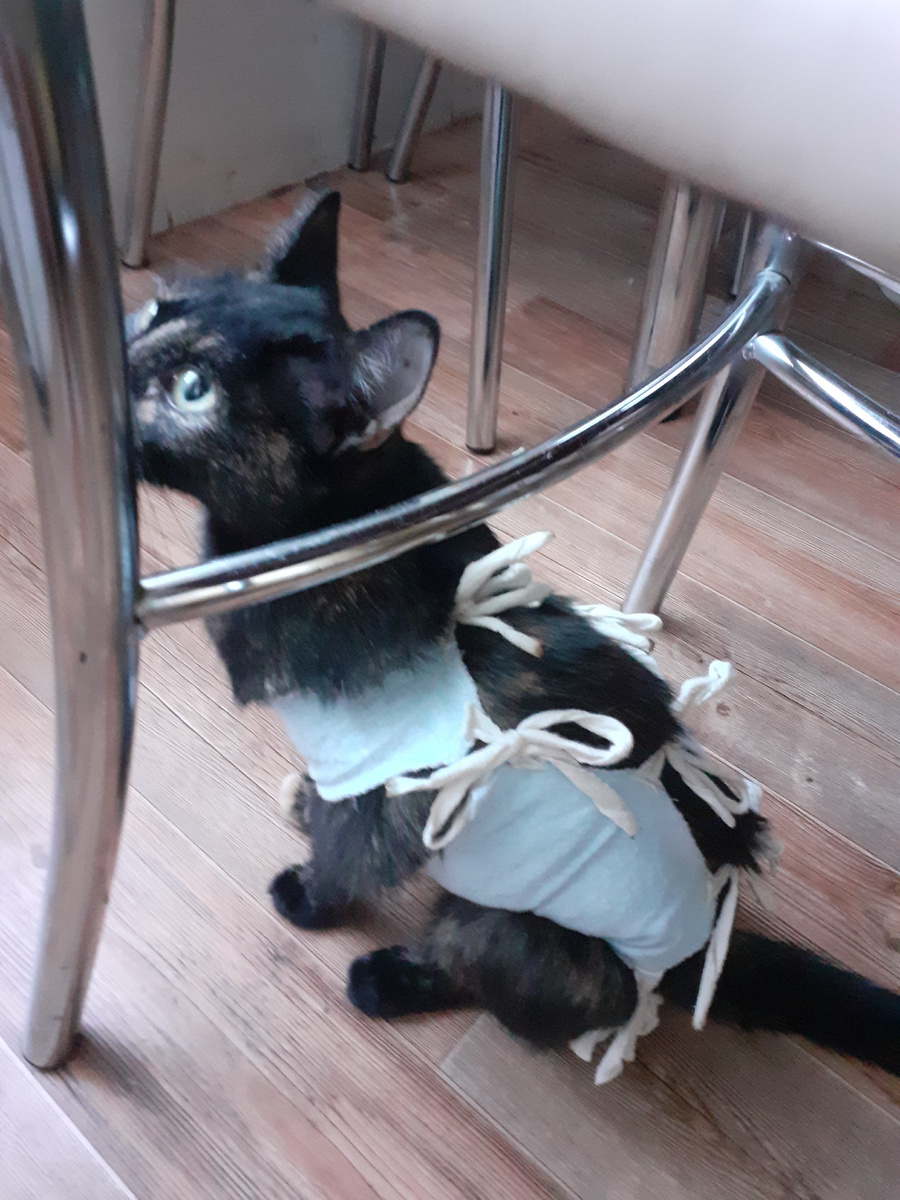 Ася, добавлению массы тела помогла стерилизация