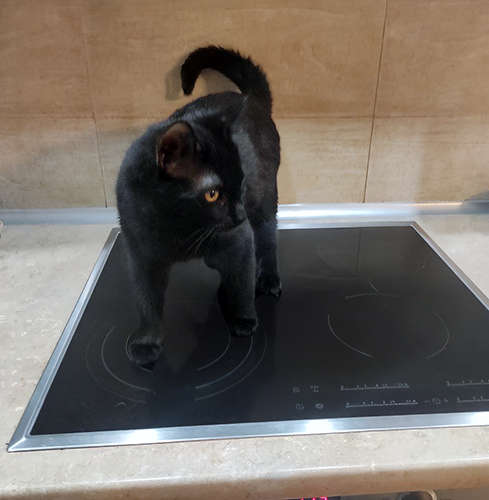 Час расплаты близок!