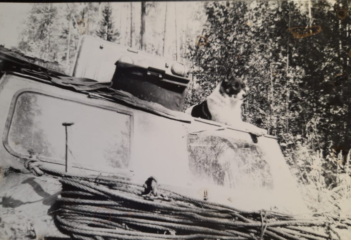 Люська на кабине.