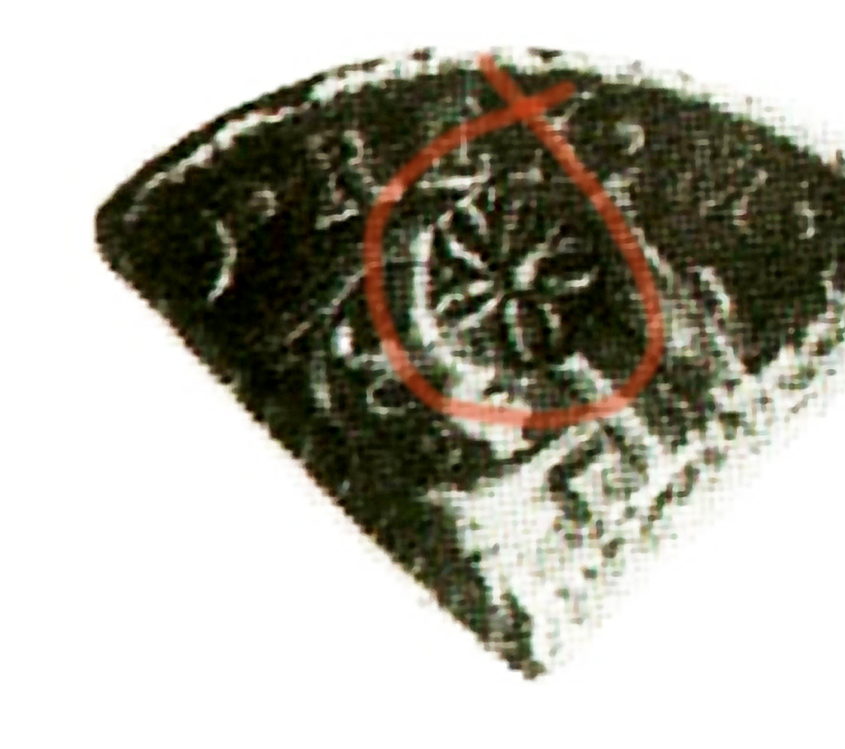 Фрагмент монеты с отпечатком в виде цветка (обведен красным). 