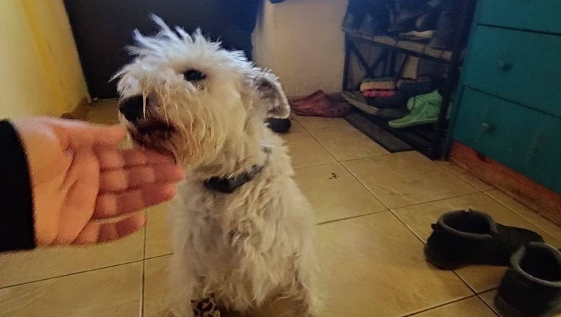      Фото: Telegram-канал Евгения Моисеева