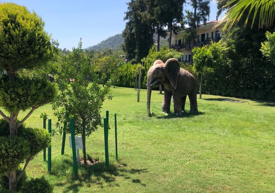 фото ИА SM-News📷
