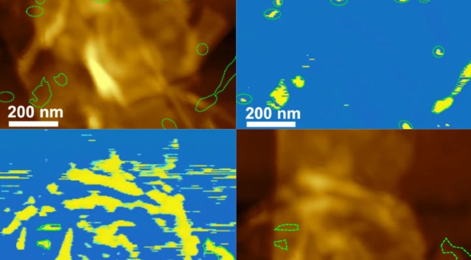   Jie Jiang et al. / Nature Communications, 2025