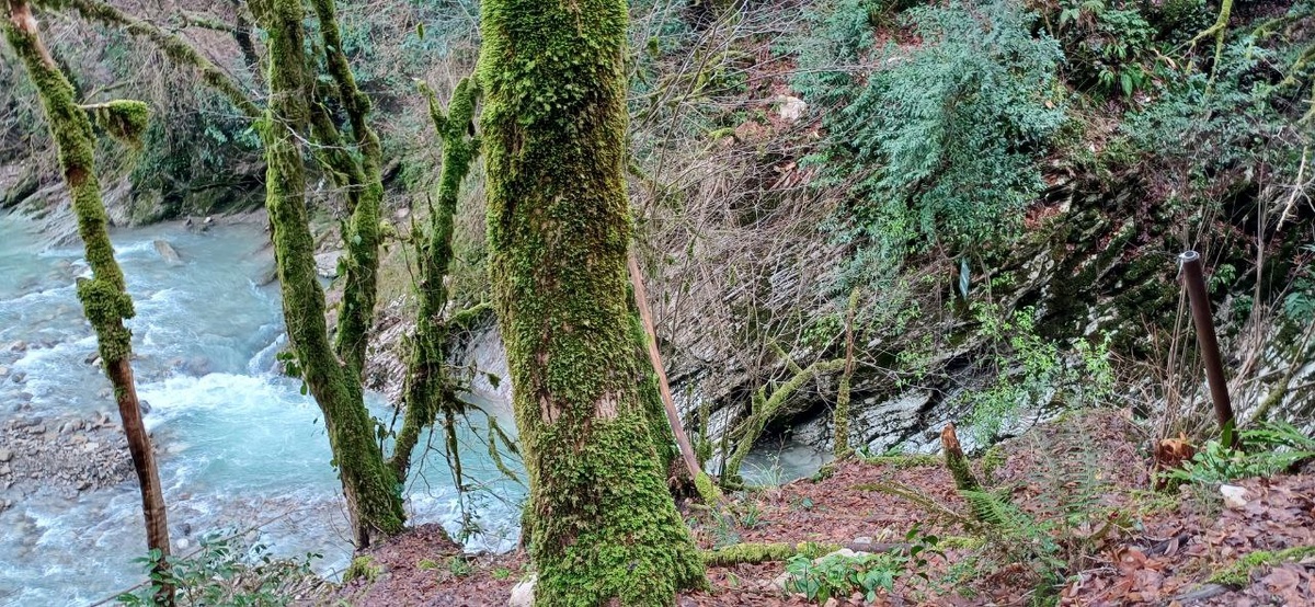 Фото на 10% передает красоту местности. Звуки и воздух, к сожалению, вообще не передает.