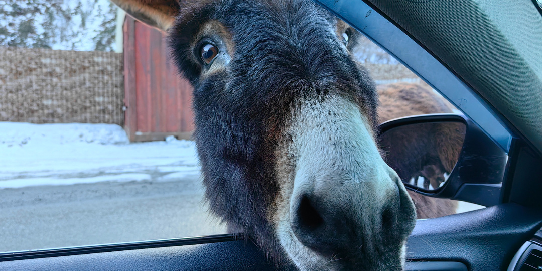 По дорогам Ингушетии