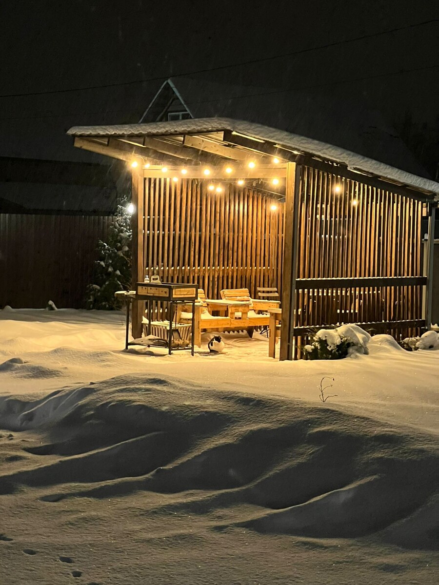 Новогодняя ночь и кошка Мурка.