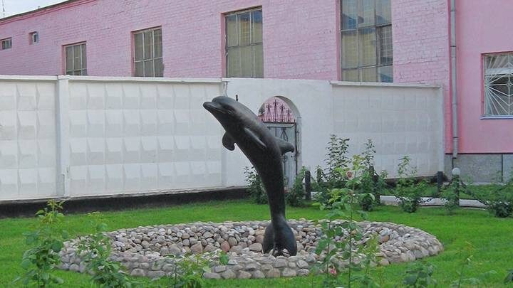  Фото: Людмила Иванова / Lyudmila Ivanova / CC0