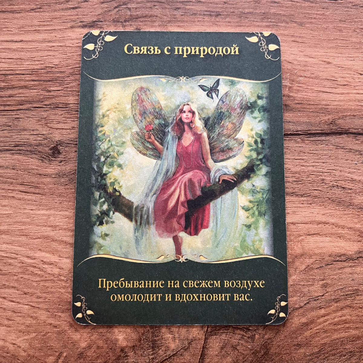 1 карта - Связь с природой