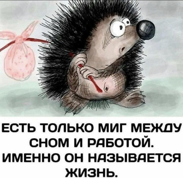 Так и живем 🙂 картинка из открытых источников 